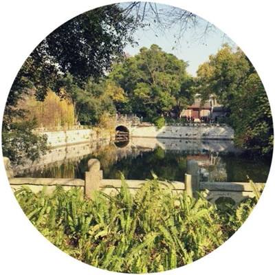 云开官方网站入口